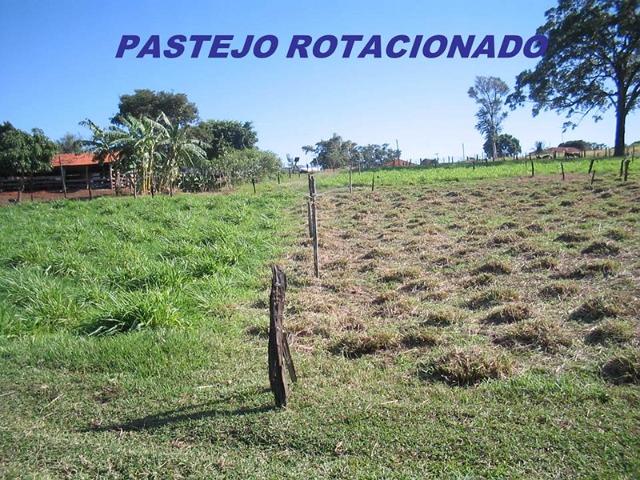 dracen_18_maio_2013 (83).JPG